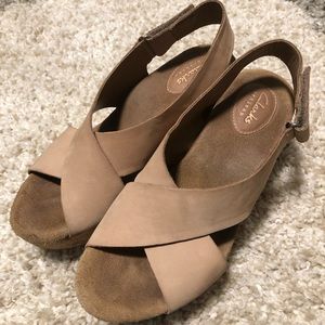 Clark Wedges